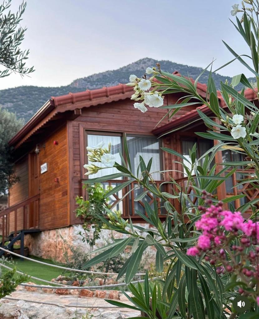 Doganin Ruhu Hotel & Bungalow Каш Екстер'єр фото