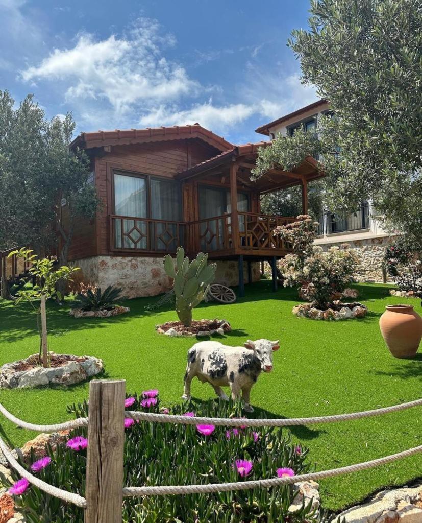 Doganin Ruhu Hotel & Bungalow Каш Екстер'єр фото