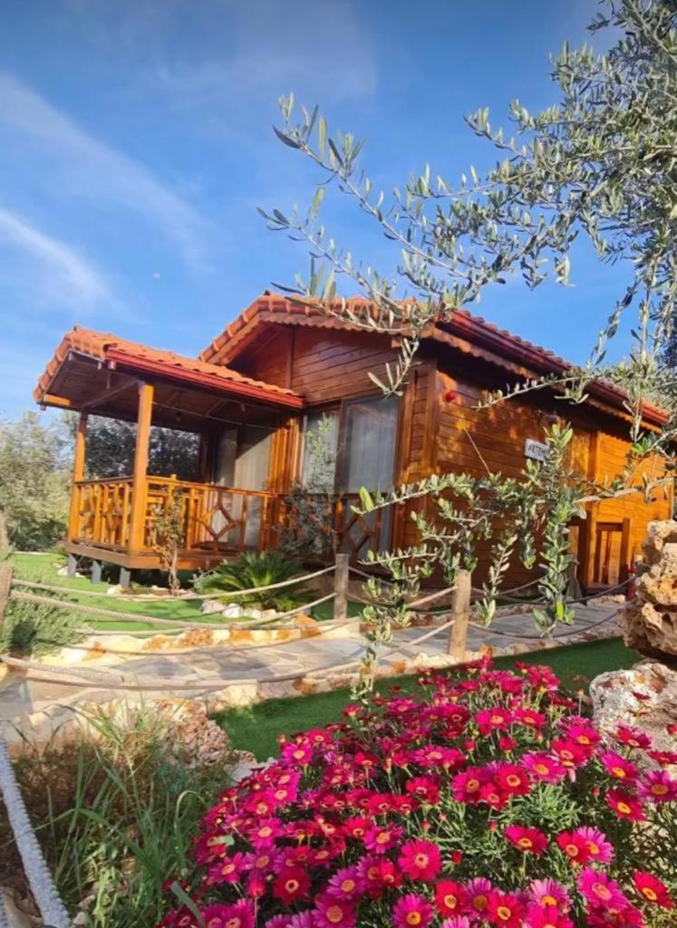 Doganin Ruhu Hotel & Bungalow Каш Екстер'єр фото