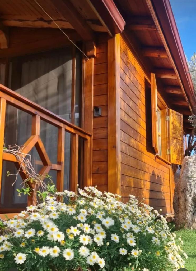 Doganin Ruhu Hotel & Bungalow Каш Екстер'єр фото